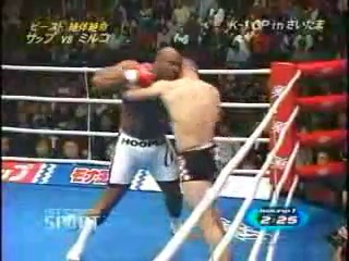 mirko krokop-bob sapp