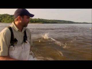 monster fish river invasion -- nat geo wild
