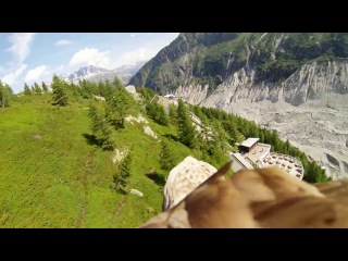 flying on an eagle