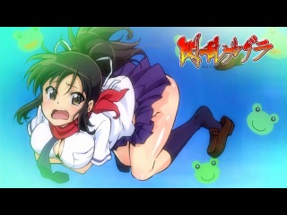 rebel ninja / senran kagura / senran kagura - episode 2 (subtitles)