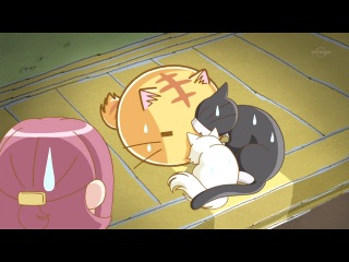 chronicles of the round cat poof / poyopoyo kansatsu nikki - episode 48 (voiceover) [viki]